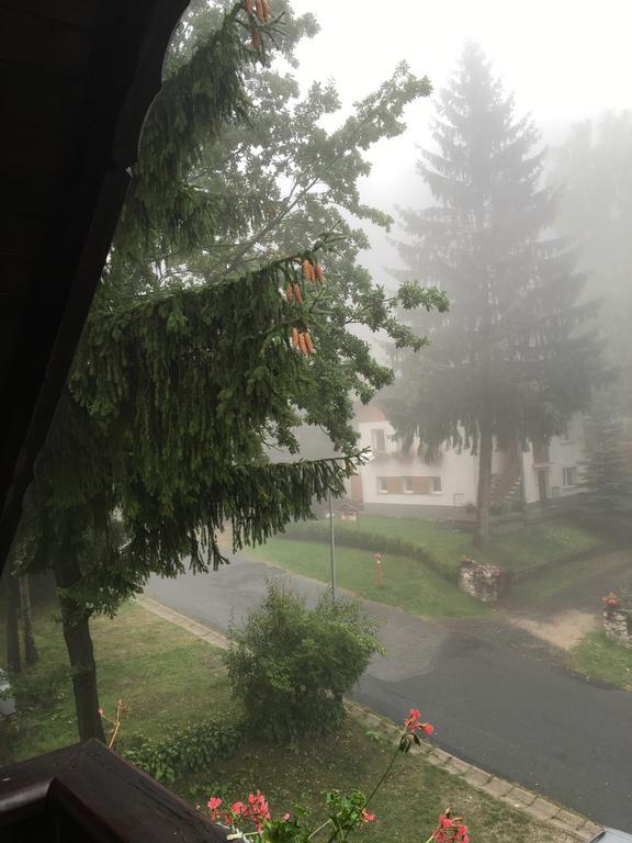 Zimorodek Poczuj Z Nami Magie Karpacza Spacerujac Do Centrum Widok Na Sniezke Exterior foto