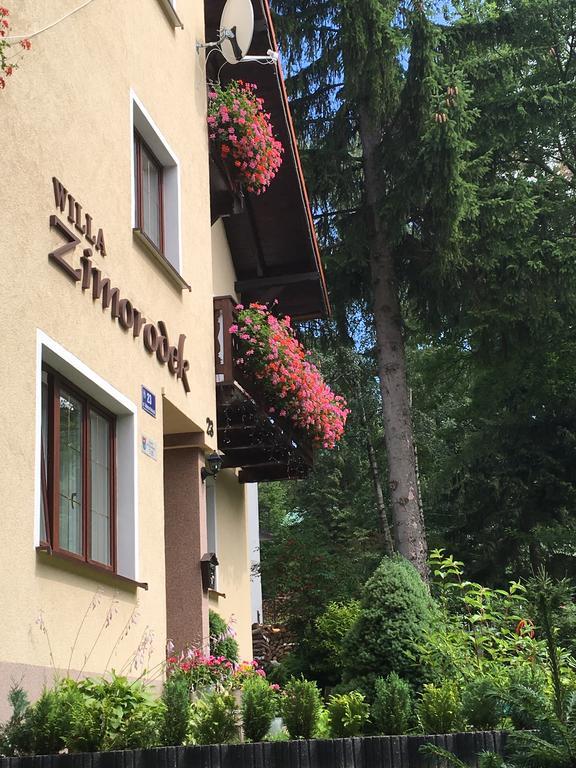 Zimorodek Poczuj Z Nami Magie Karpacza Spacerujac Do Centrum Widok Na Sniezke Exterior foto