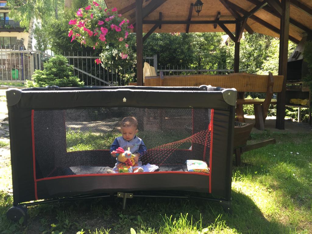 Zimorodek Poczuj Z Nami Magie Karpacza Spacerujac Do Centrum Widok Na Sniezke Exterior foto