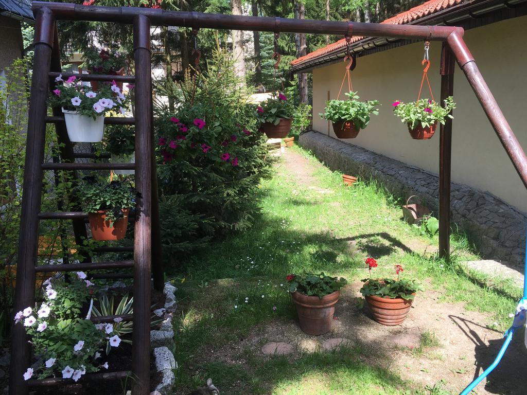 Zimorodek Poczuj Z Nami Magie Karpacza Spacerujac Do Centrum Widok Na Sniezke Exterior foto