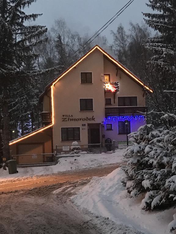 Zimorodek Poczuj Z Nami Magie Karpacza Spacerujac Do Centrum Widok Na Sniezke Exterior foto