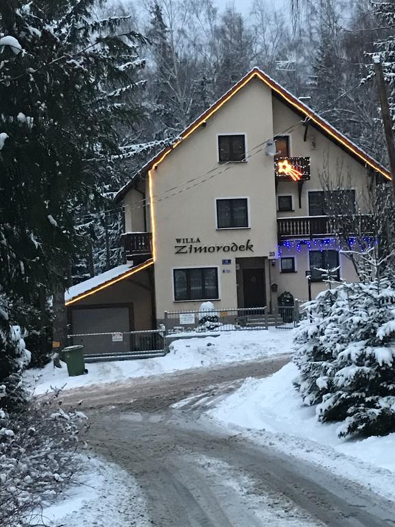 Zimorodek Poczuj Z Nami Magie Karpacza Spacerujac Do Centrum Widok Na Sniezke Exterior foto