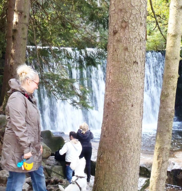 Zimorodek Poczuj Z Nami Magie Karpacza Spacerujac Do Centrum Widok Na Sniezke Exterior foto